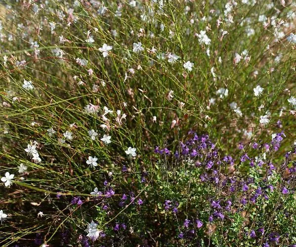 Villa Family & Golf Laguna Towers Navarino *