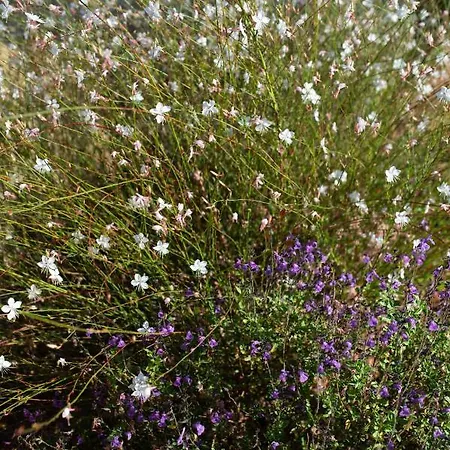 Villa Family & Golf Laguna Towers Navarino *